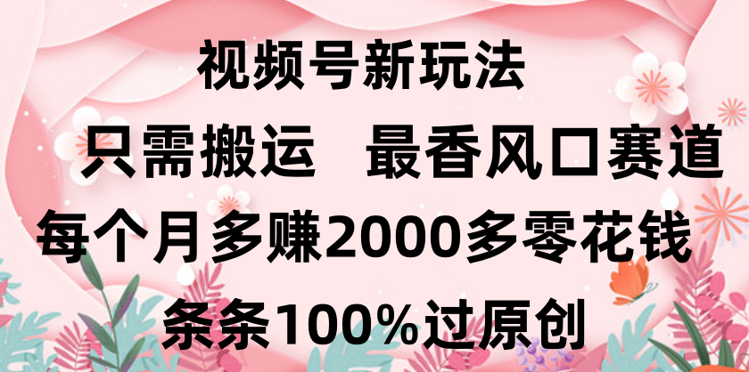 日入2000+，条条100%过原创，视频号最香风口赛道，小白轻松上手-小白搞钱