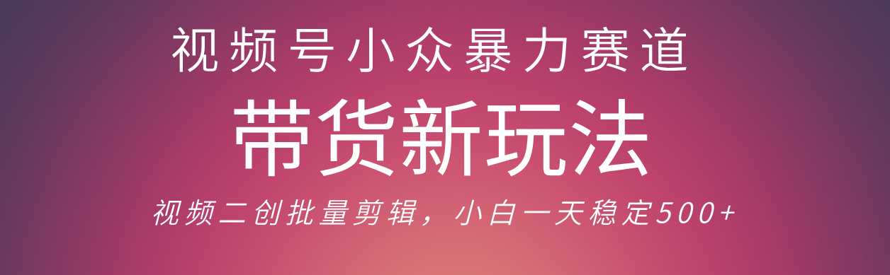 视频号小众暴力赛道，最新带货玩法 小白也能轻松日入500+ 保姆及教程-小白搞钱