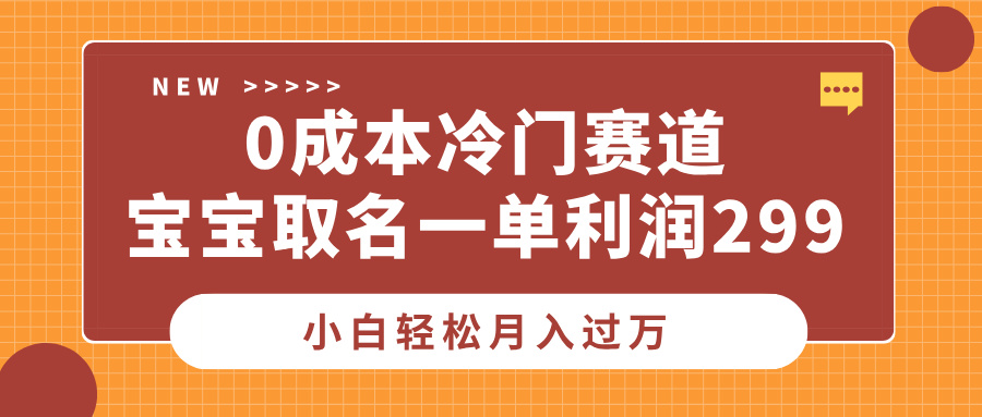 0成本冷门赛道，宝宝取名一单利润299，小白轻松月入过万-小白搞钱