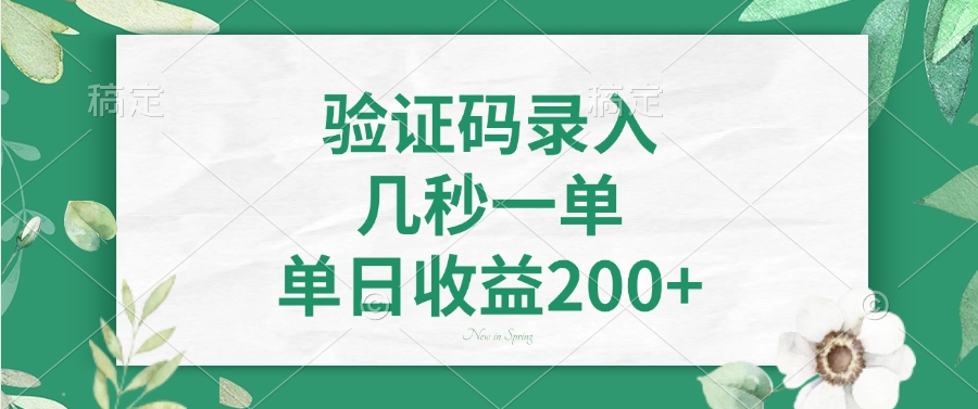 验证码录入，看图识字，几秒一单，单日收益200+-小白搞钱