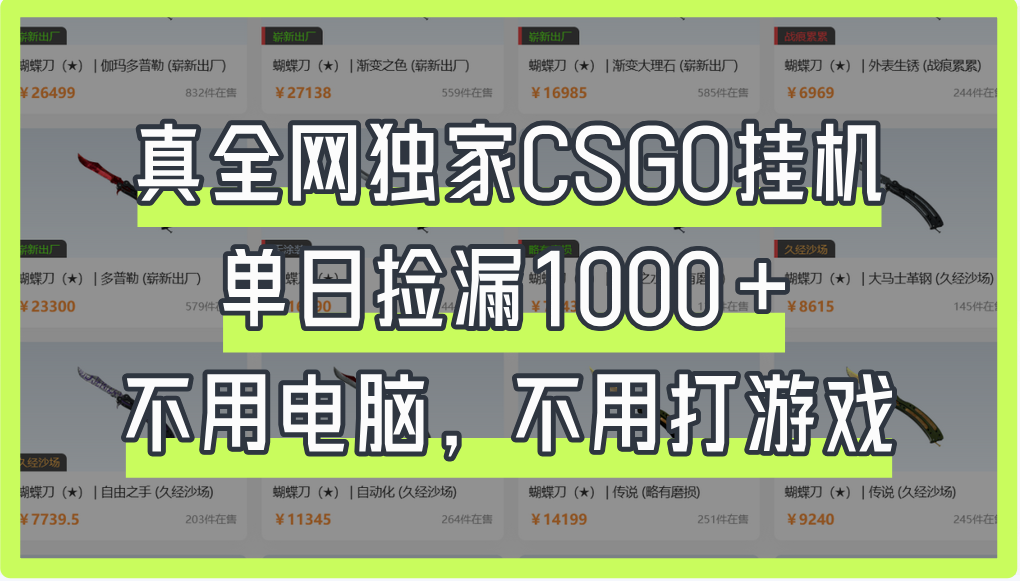 真全网独家CSGO挂机，单日捡漏1000+-小白搞钱