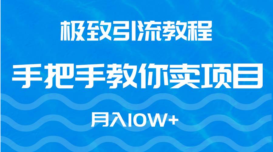 极致引流教程，手把手教你卖项目，月入10W+-小白搞钱