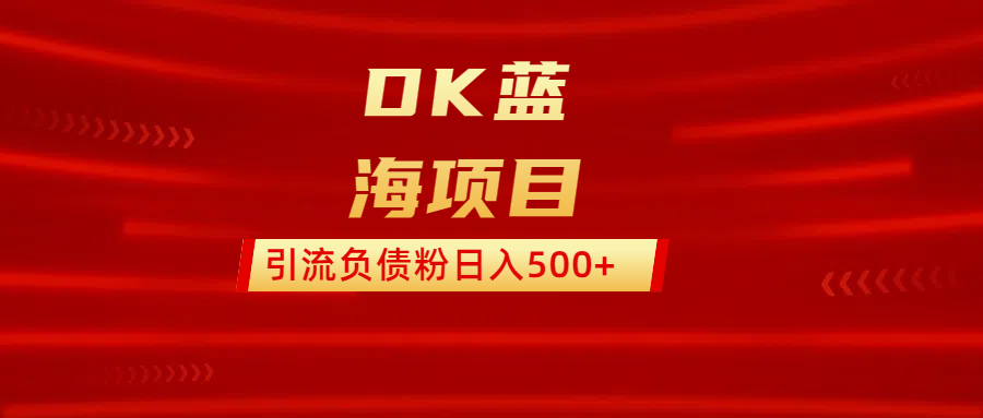 DK蓝海项目  通过，抖音，快手，小红书，引流负债粉日入500+-小白搞钱