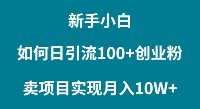 新手小白如何通过卖项目实现月入10W+-小白搞钱