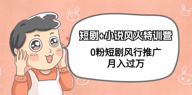 短剧+小说风火特训营，0粉短剧风行推广，月入过万（102节课）-小白搞钱