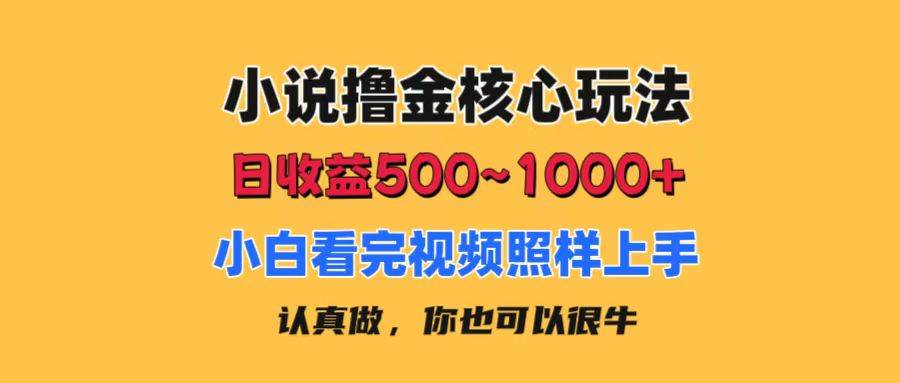 小说撸金核心玩法，日收益500-1000+，小白看完照样上手，0成本有手就行-小白搞钱