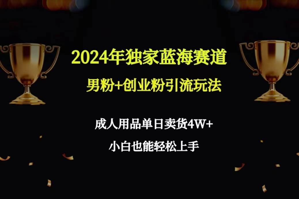 2024年独家蓝海赛道男粉+创业粉引流玩法，成人用品单日卖货4W+保姆教程-小白搞钱