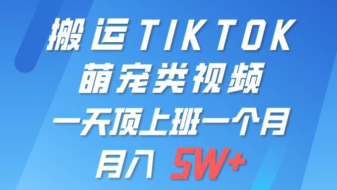 一键搬运TIKTOK萌宠类视频 一部手机即可操作 所有平台均可发布 轻松月入5W+-小白搞钱