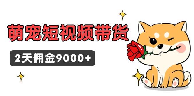 东哲日记·萌宠短视频带货，2天佣金9000+-小白搞钱