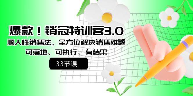 爆款！销冠特训营3.0之顺人性销售法，全方位解决销售难题、可落地、可执行、有结果-小白搞钱