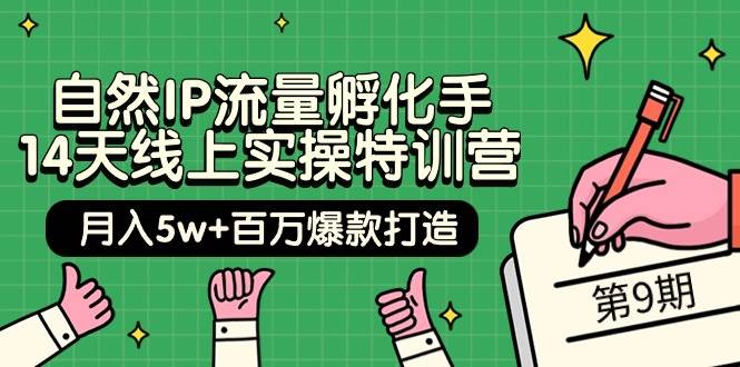 自然IP流量孵化手 14天线上实操特训营【第9期】月入5w+百万爆款打造 (74节)-小白搞钱