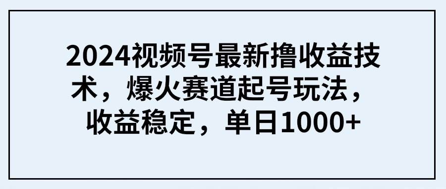 2024视频号最新撸收益技术，爆火赛道起号玩法，收益稳定，单日1000+-小白搞钱