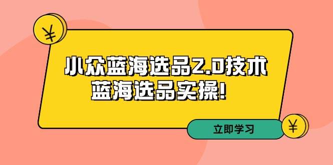拼多多培训第33期：小众蓝海选品2.0技术-蓝海选品实操！-小白搞钱