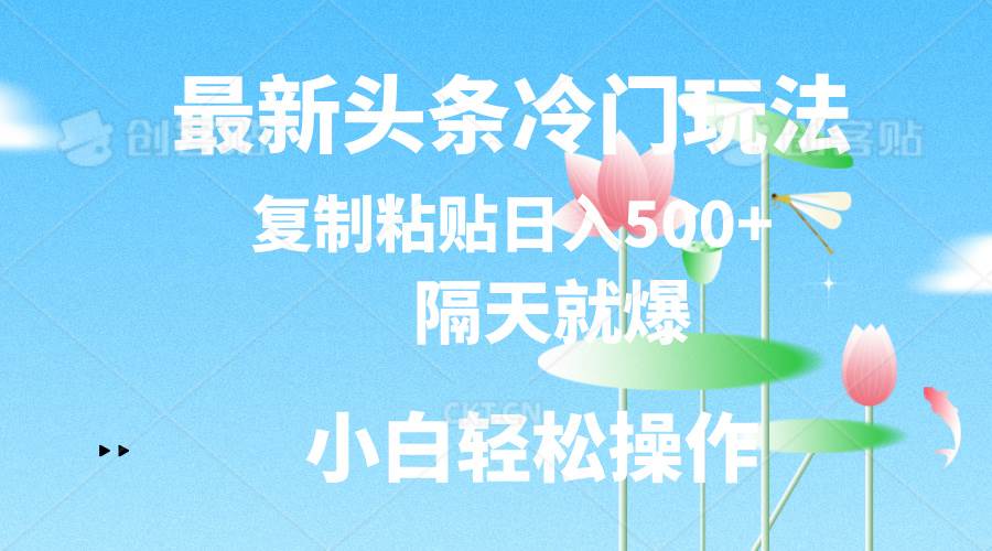 最新头条冷门玩法，隔天就爆，复制粘贴日入500+-小白搞钱