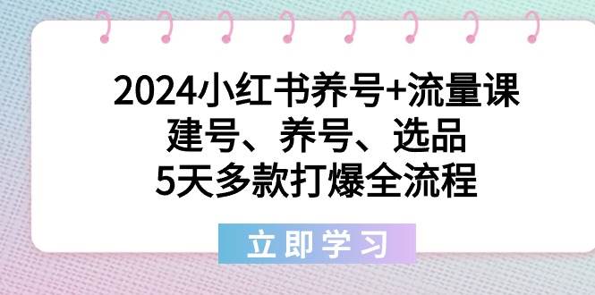 2024小红书养号+流量课：建号、养号、选品，5天多款打爆全流程-小白搞钱