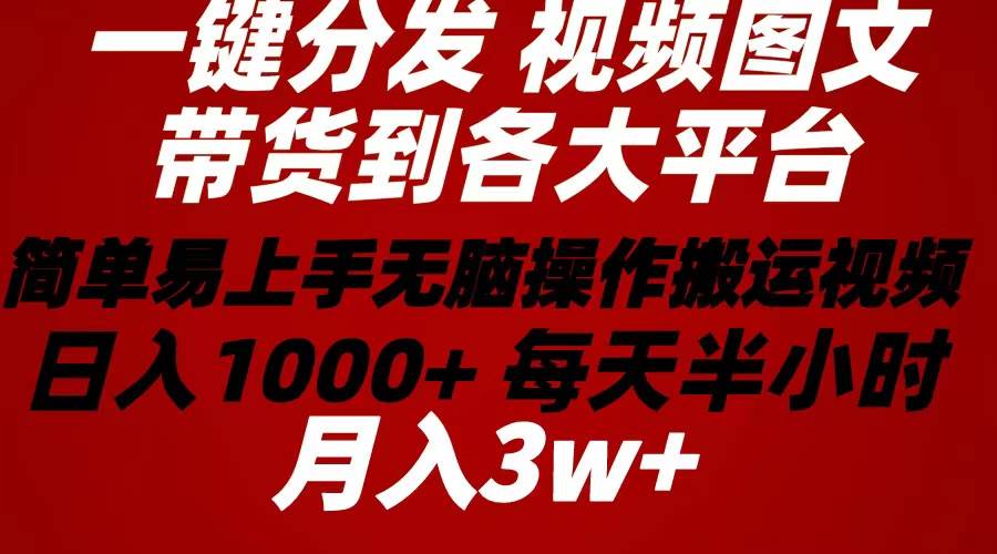 2024年 一键分发带货图文视频  简单易上手 无脑赚收益 每天半小时日入1…-小白搞钱