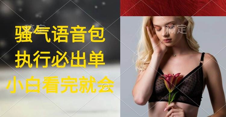 执行就出单，日入2000+，超火骚气语音包，小白看完课程就能马上实操-小白搞钱