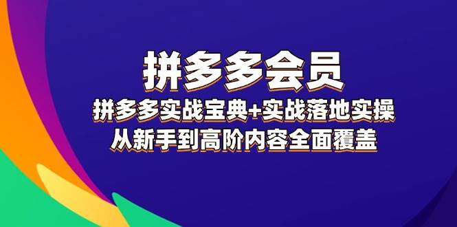拼多多 会员，拼多多实战宝典+实战落地实操，从新手到高阶内容全面覆盖-小白搞钱