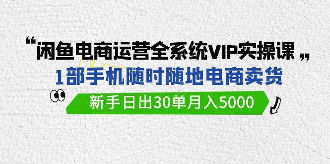 闲鱼电商运营全系统VIP实战课，1部手机随时随地卖货，新手日出30单月入5000-小白搞钱