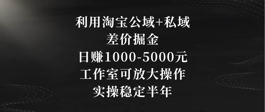 利用淘宝公域+私域差价掘金，日赚1000-5000元，工作室可放大操作，实操…-小白搞钱