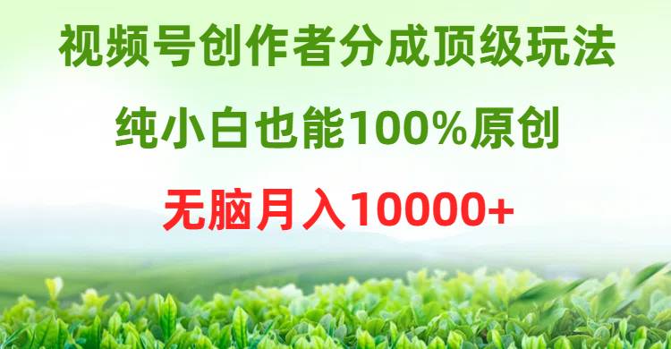 视频号创作者分成顶级玩法，纯小白也能100%原创，无脑月入10000+-小白搞钱
