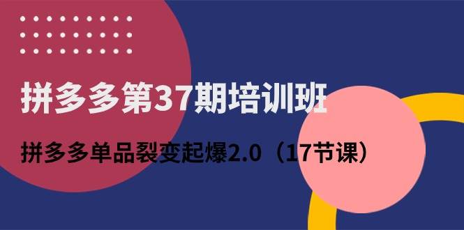 拼多多第37期培训班：拼多多单品裂变起爆2.0（17节课）-小白搞钱