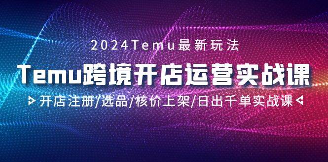 2024Temu跨境开店运营实战课，开店注册/选品/核价上架/日出千单实战课-小白搞钱